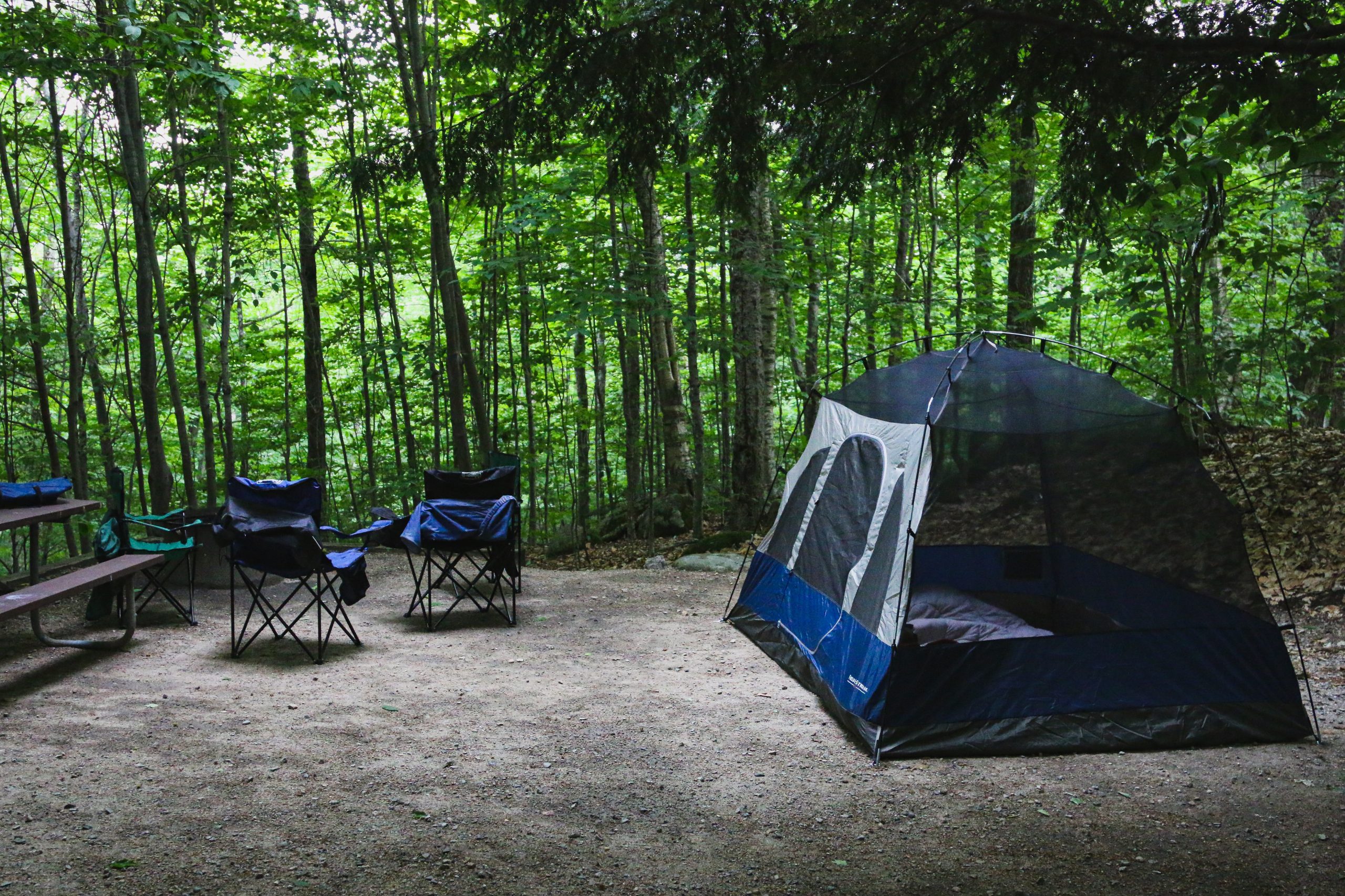 Réserver un week-end dans un camping des Landes : bonne idée ?
