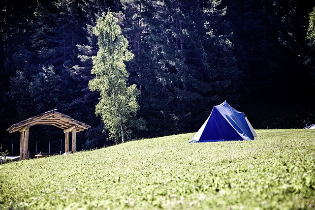 Comment choisir le modèle de tente idéal pour votre séjour en camping