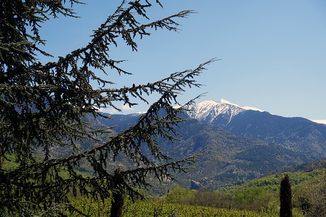 Comment réserver un camping 5 étoiles dans les Pyrénées Orientales pour un week-end en famille ?